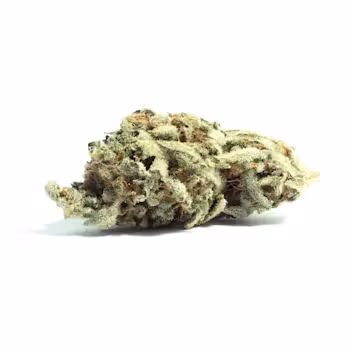 Pure Indica